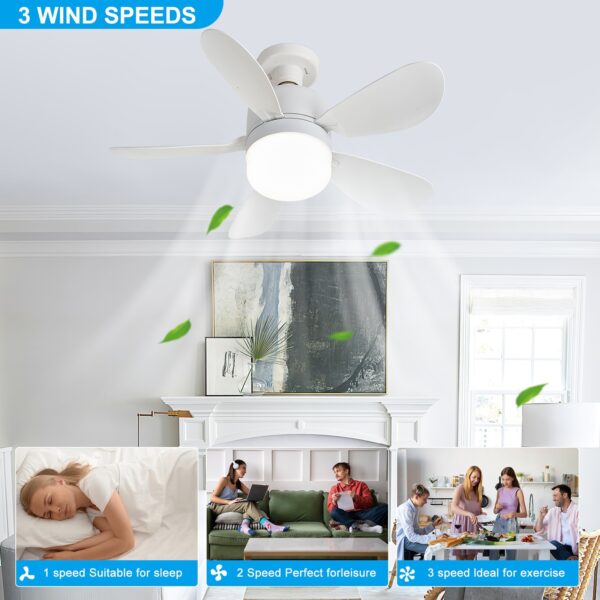 20.5in Screw Socket Ceiling Fans with Lights RGB Daylight White - Image 3