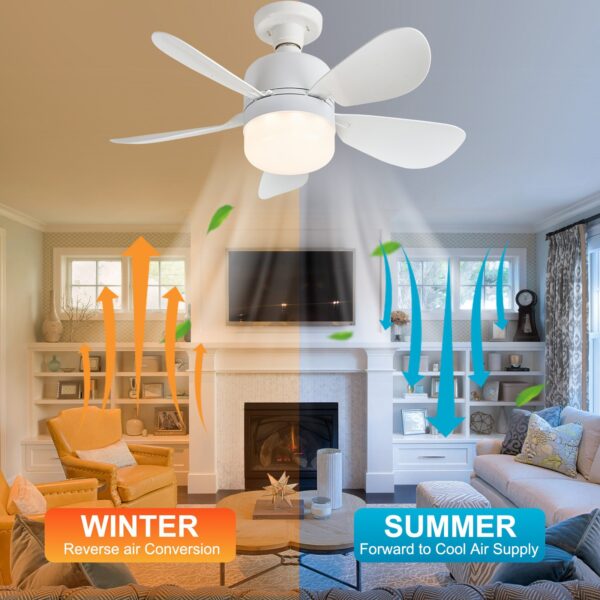 20.5in Screw Socket Ceiling Fans with Lights RGB Daylight White - Image 4