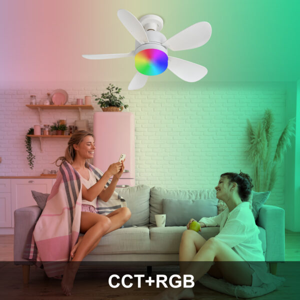 20.5in Screw Socket Ceiling Fans with Lights RGB Daylight White - Image 6